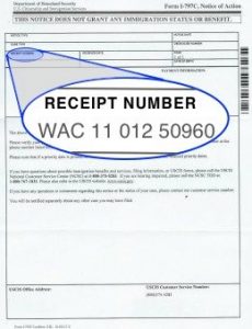 how to read a uscis receipt number