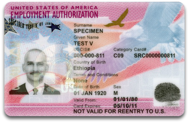 employment authorization document (Form I-766)