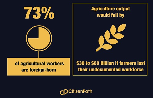 Infographic: 73% of agricultural workers are foreign-born. Agricultural output would drop $30-60 billion if farmers lost their undocumented workforce.